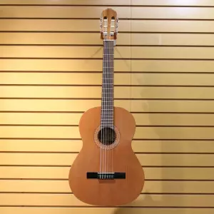 خرید گیتار ریموندو 104b